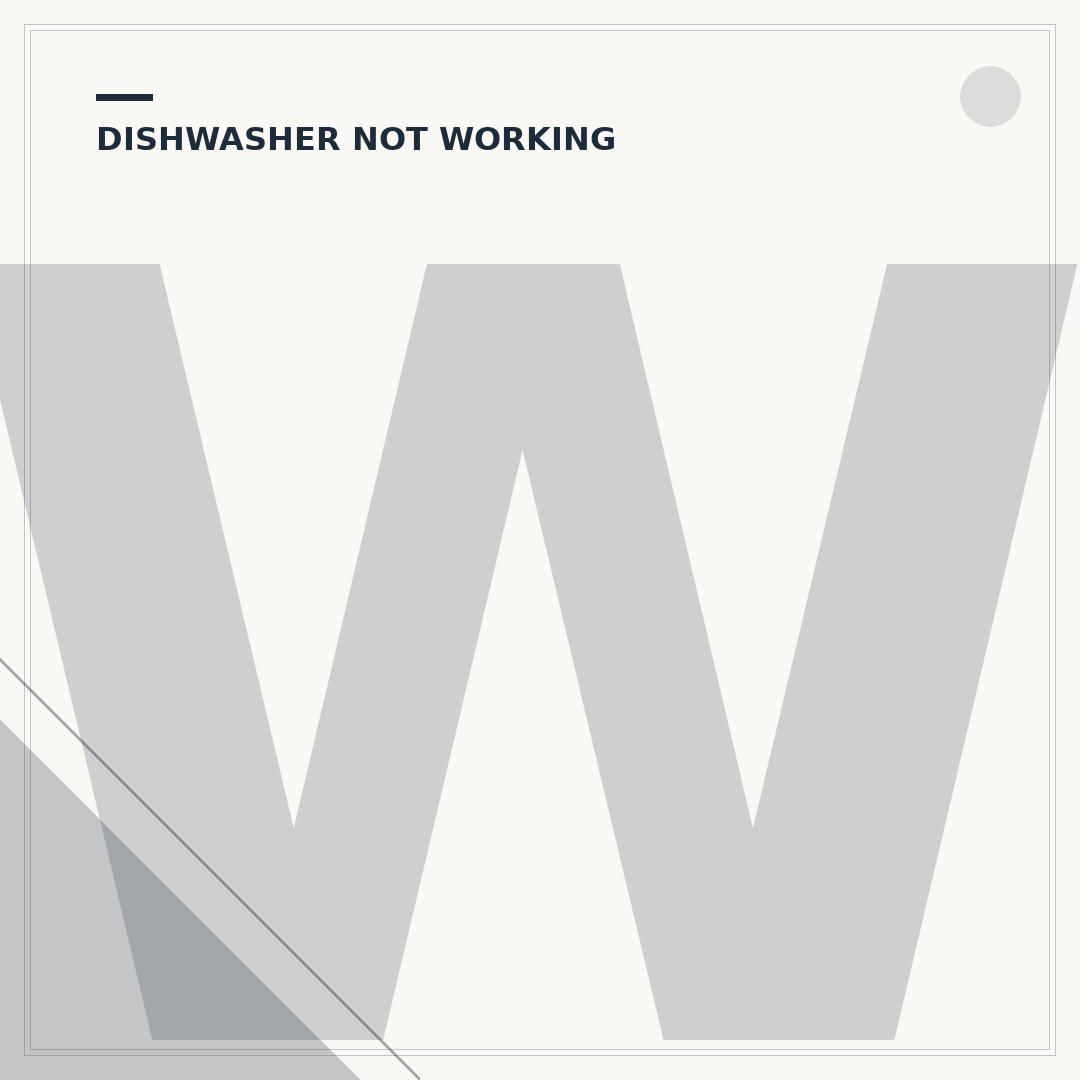 Why Does a Dishwasher Not Drain?