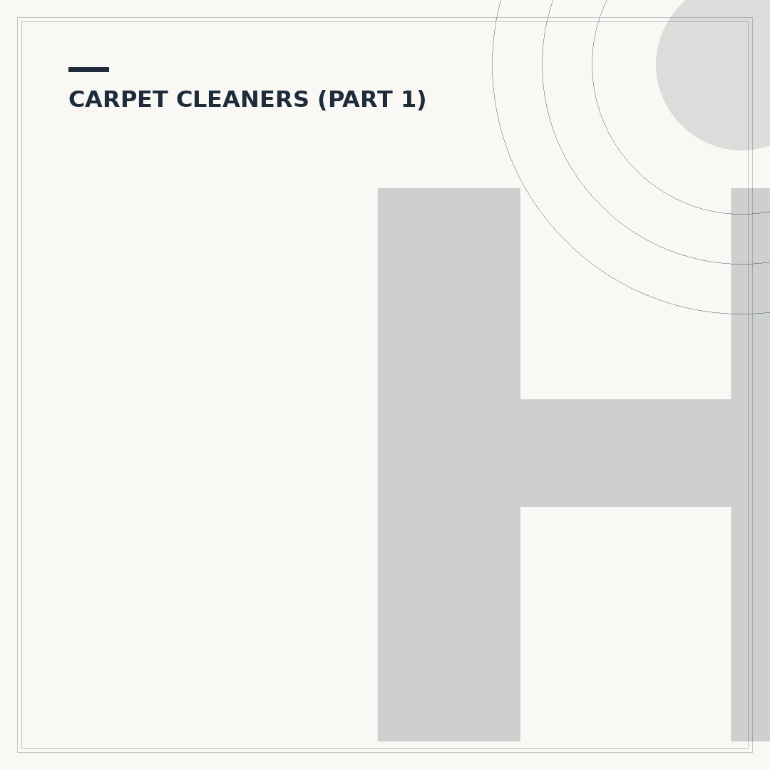 HG Carpet Cleaner