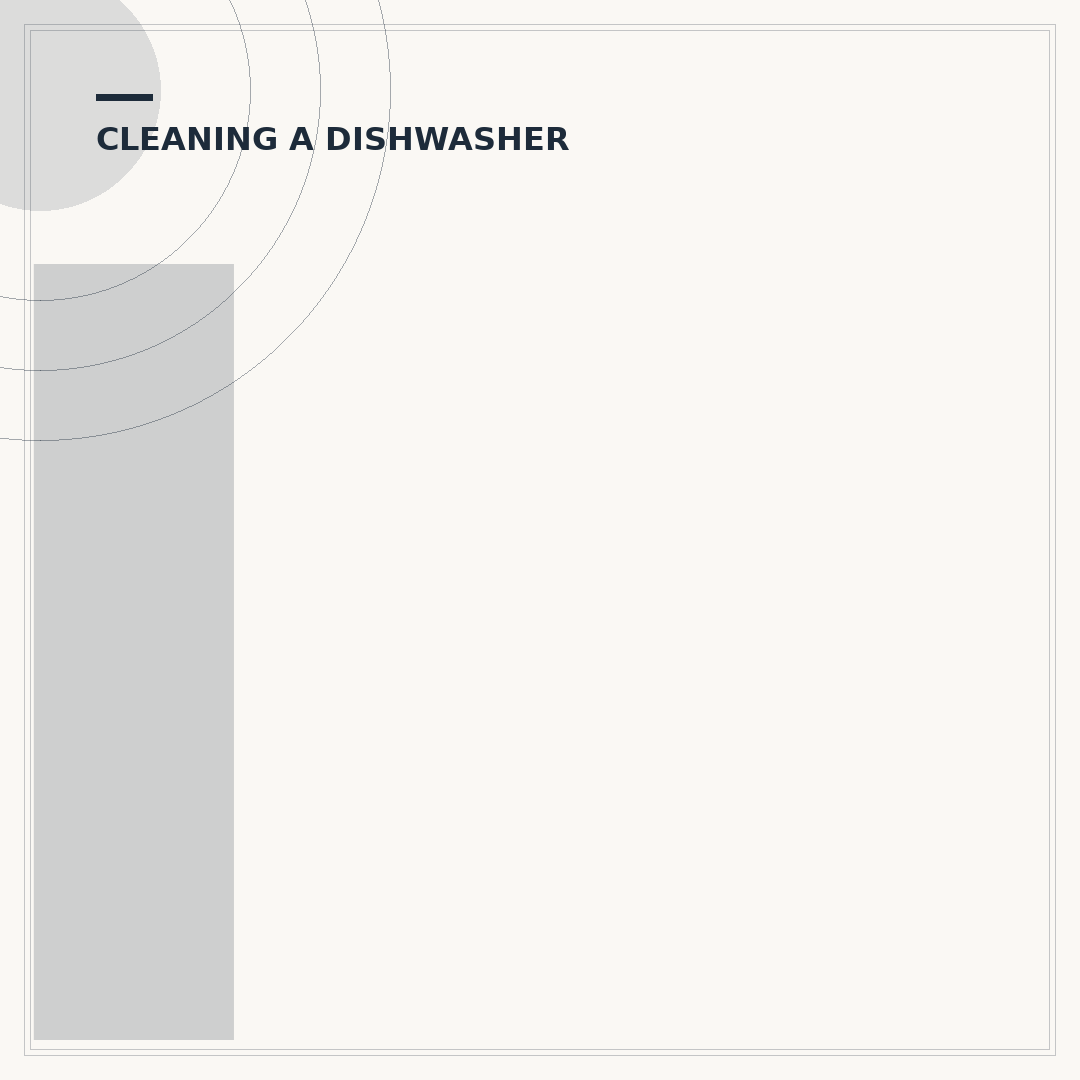 Indesit Fast and Clean Dishwasher: Performance & Maintenance