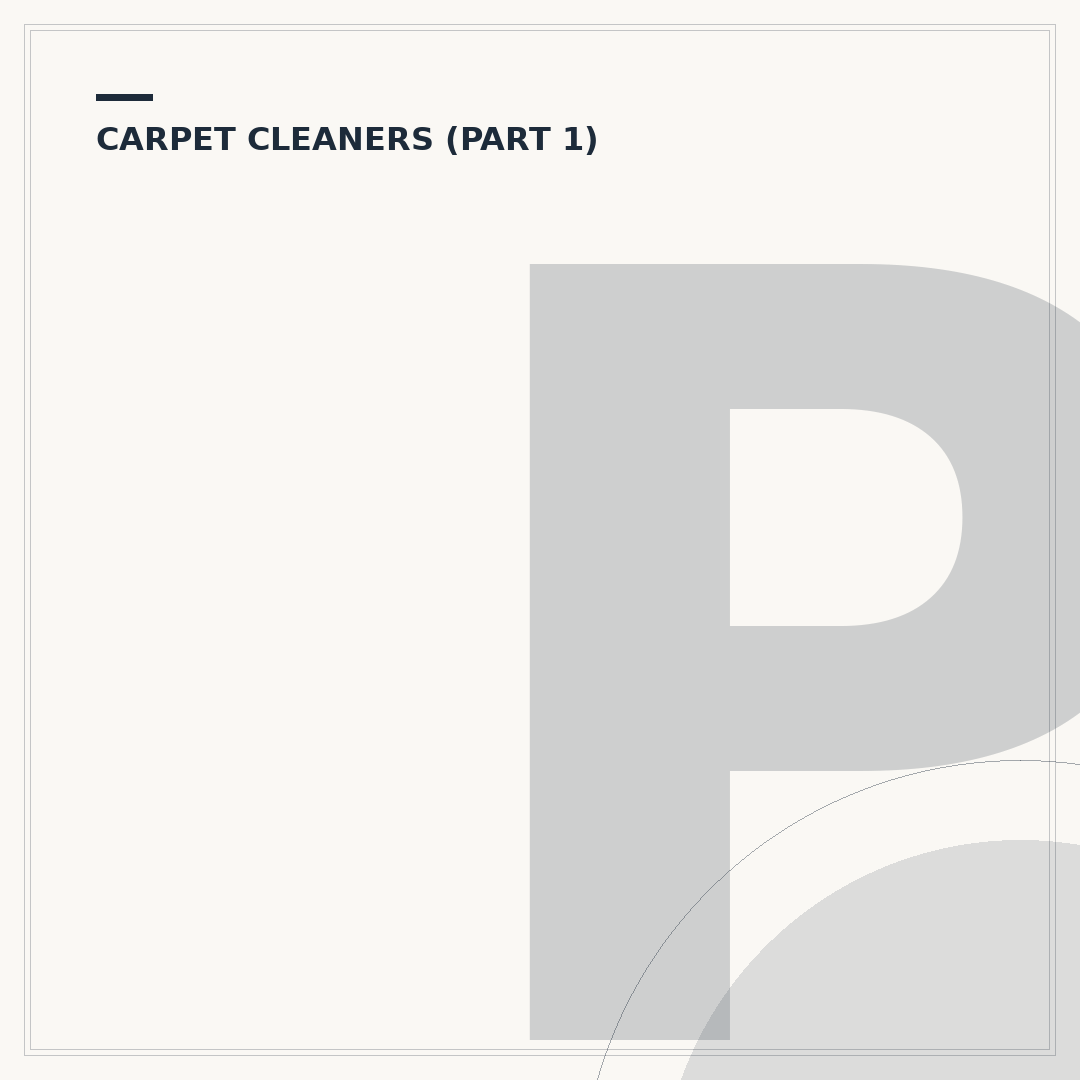 Professional Carpet Cleaner: When to Hire & What to Expect
