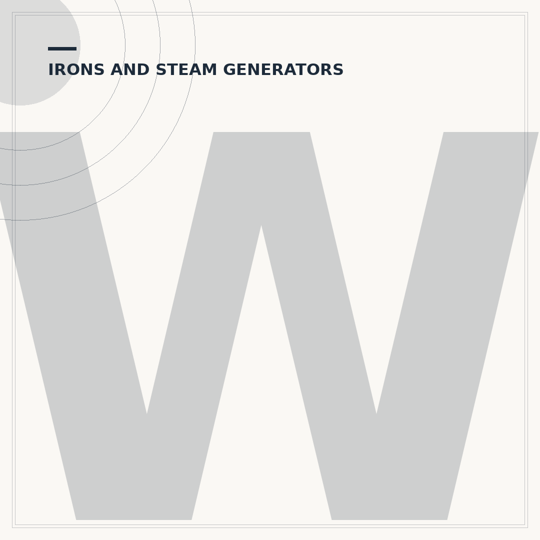 Which Steam Generator Iron to Buy?