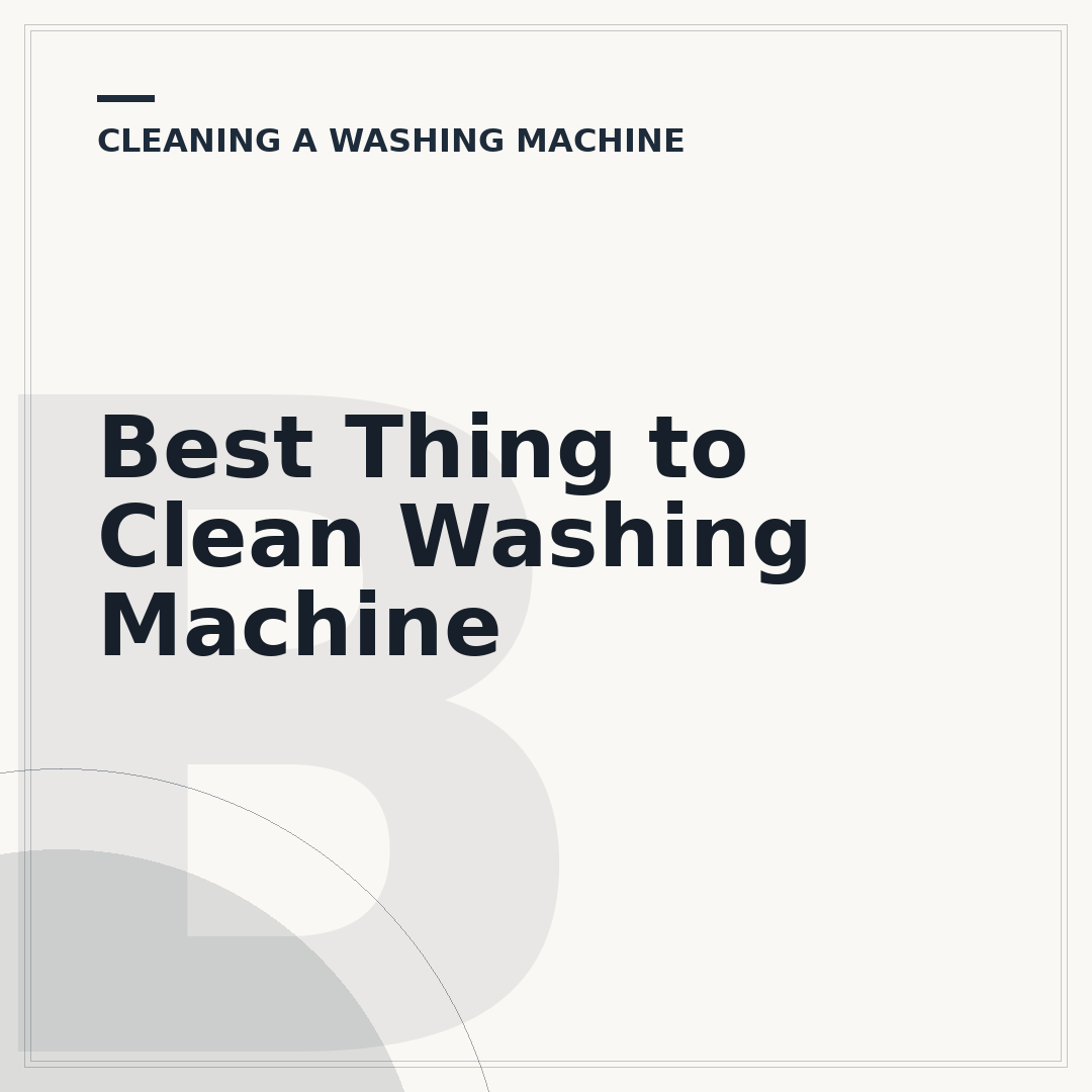 Best Thing to Clean Washing Machine