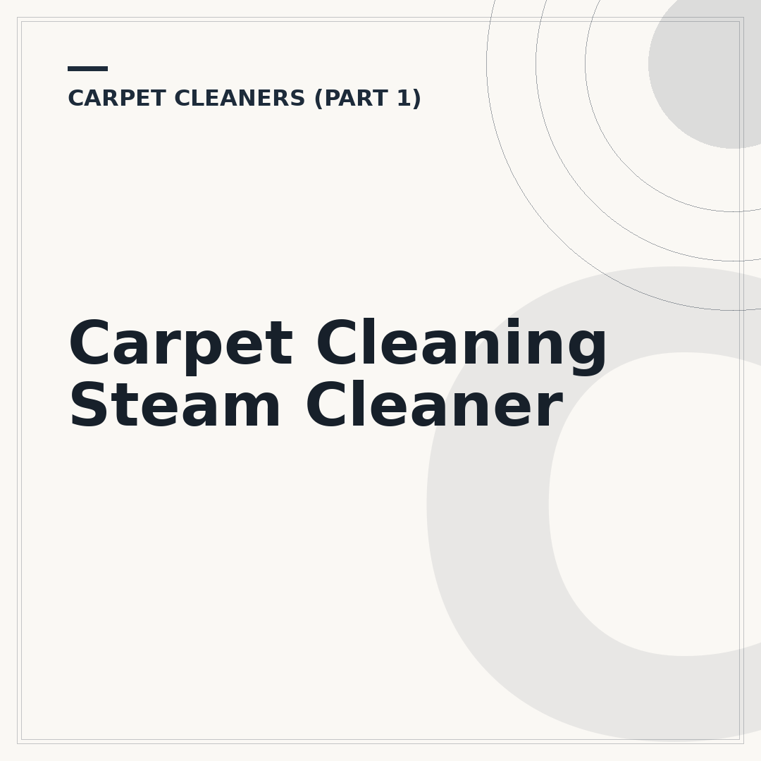 Carpet Cleaning Steam Cleaner