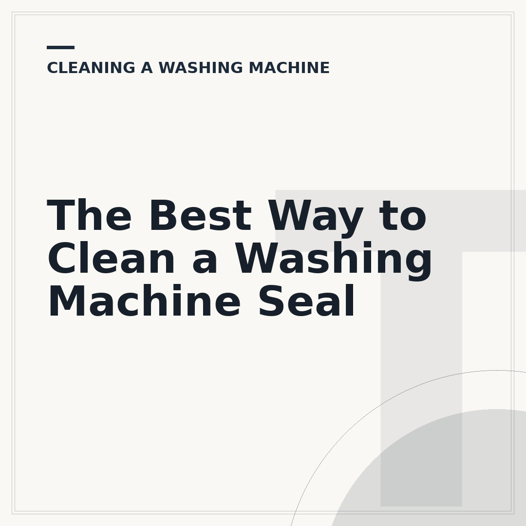 The Best Way to Clean a Washing Machine Seal