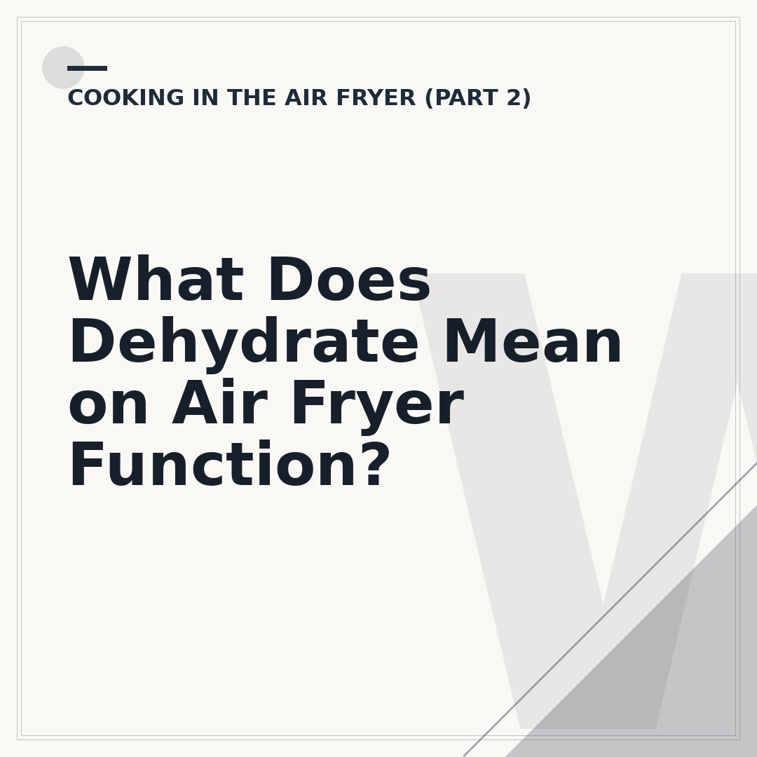 What Does Dehydrate Mean on Air Fryer Function?