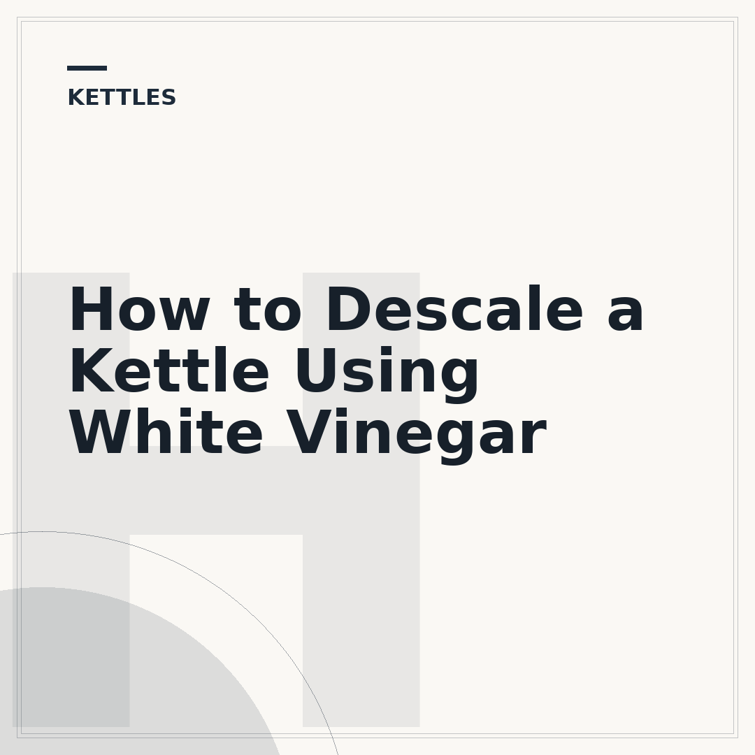 How to Descale a Kettle Using White Vinegar