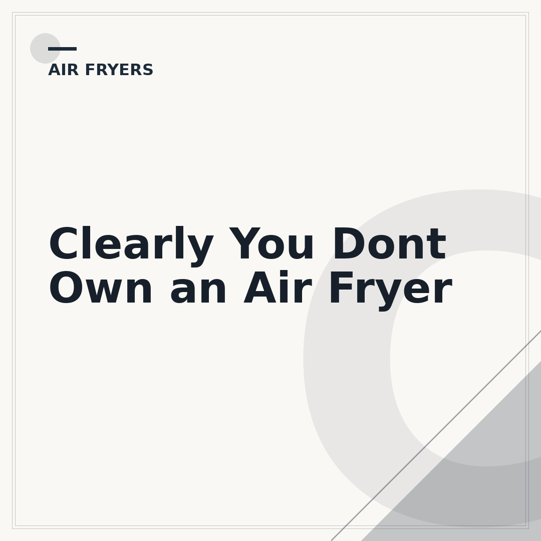 Clearly You Dont Own an Air Fryer