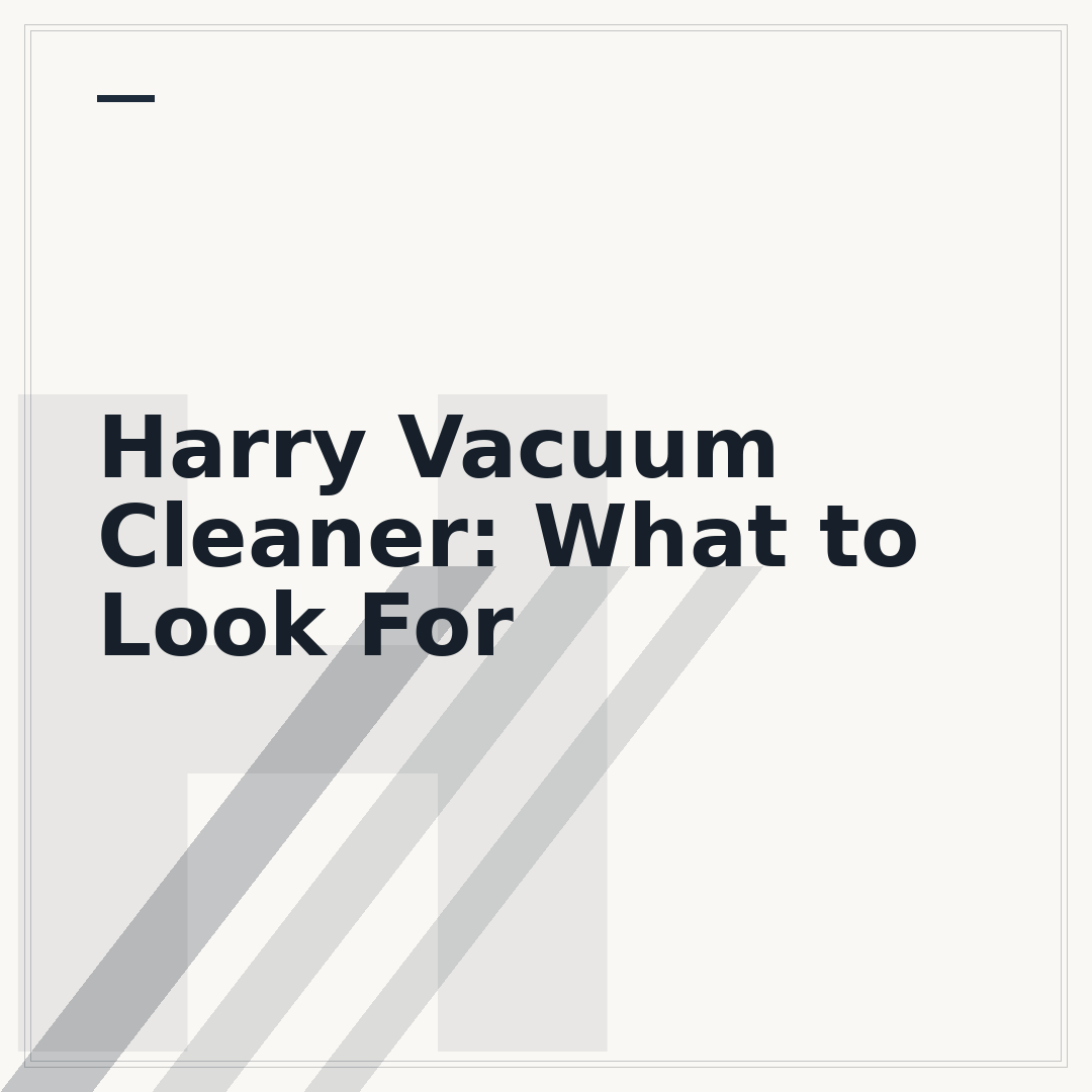 Harry Vacuum Cleaner: What to Look For
