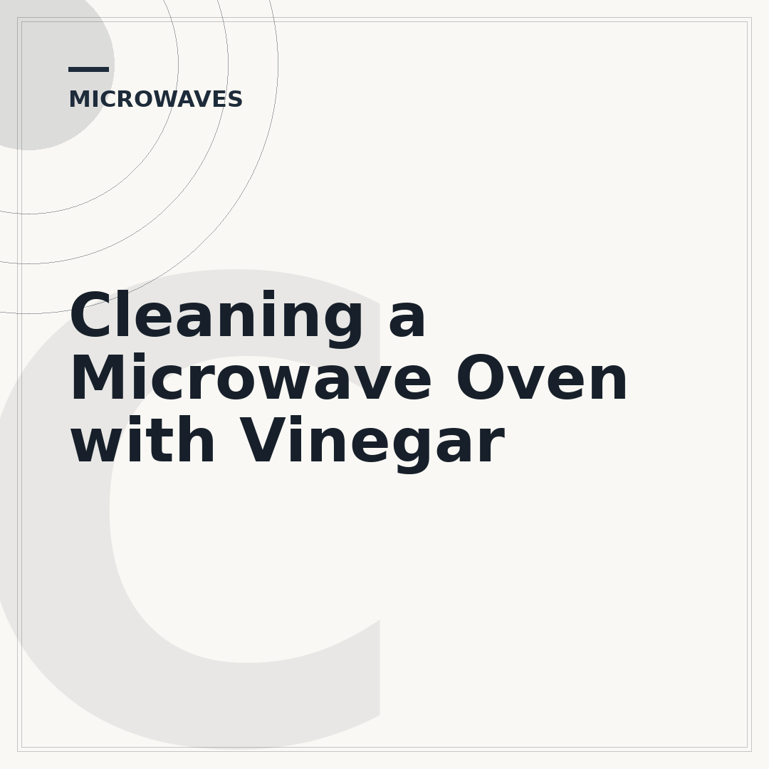 Cleaning a Microwave Oven with Vinegar