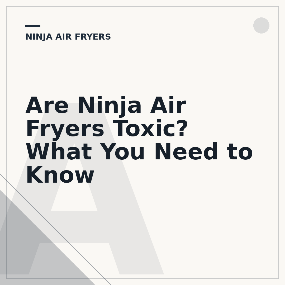 Are Ninja Air Fryers Toxic? What You Need to Know