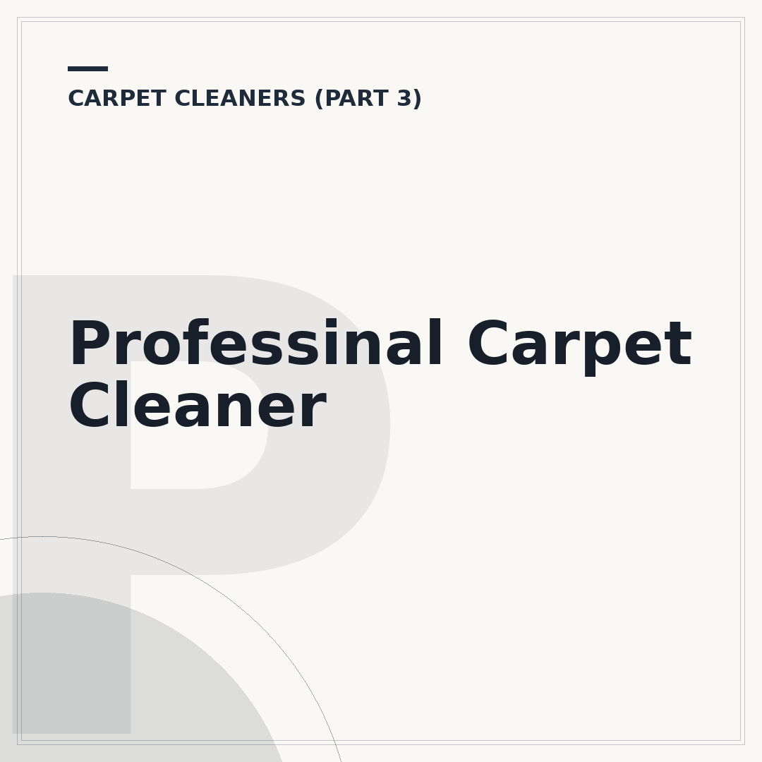 Professinal Carpet Cleaner