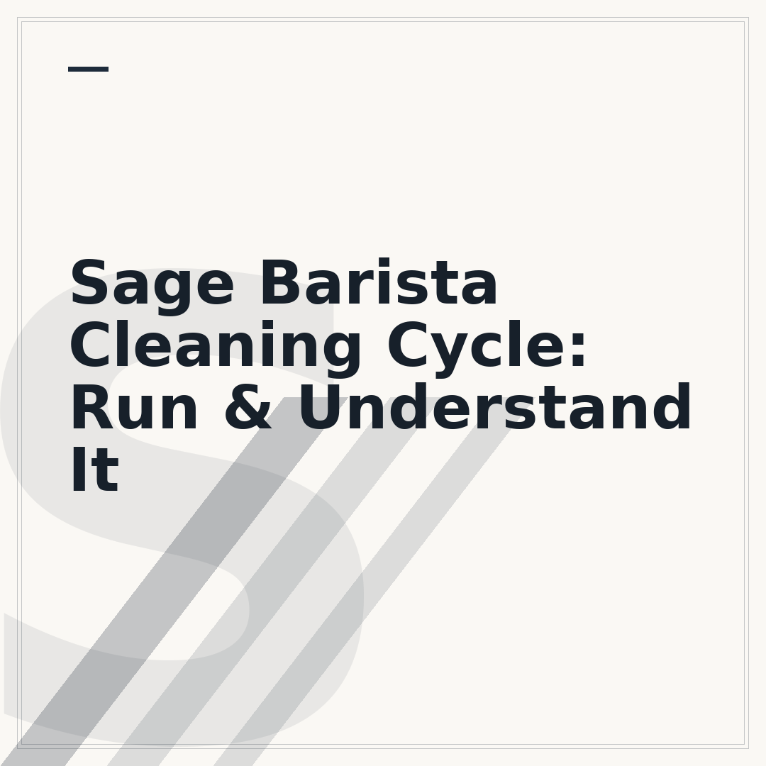 Sage Barista Cleaning Cycle: Run & Understand It