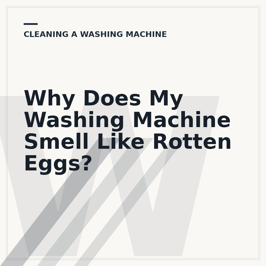 Why Does My Washing Machine Smell Like Rotten Eggs?