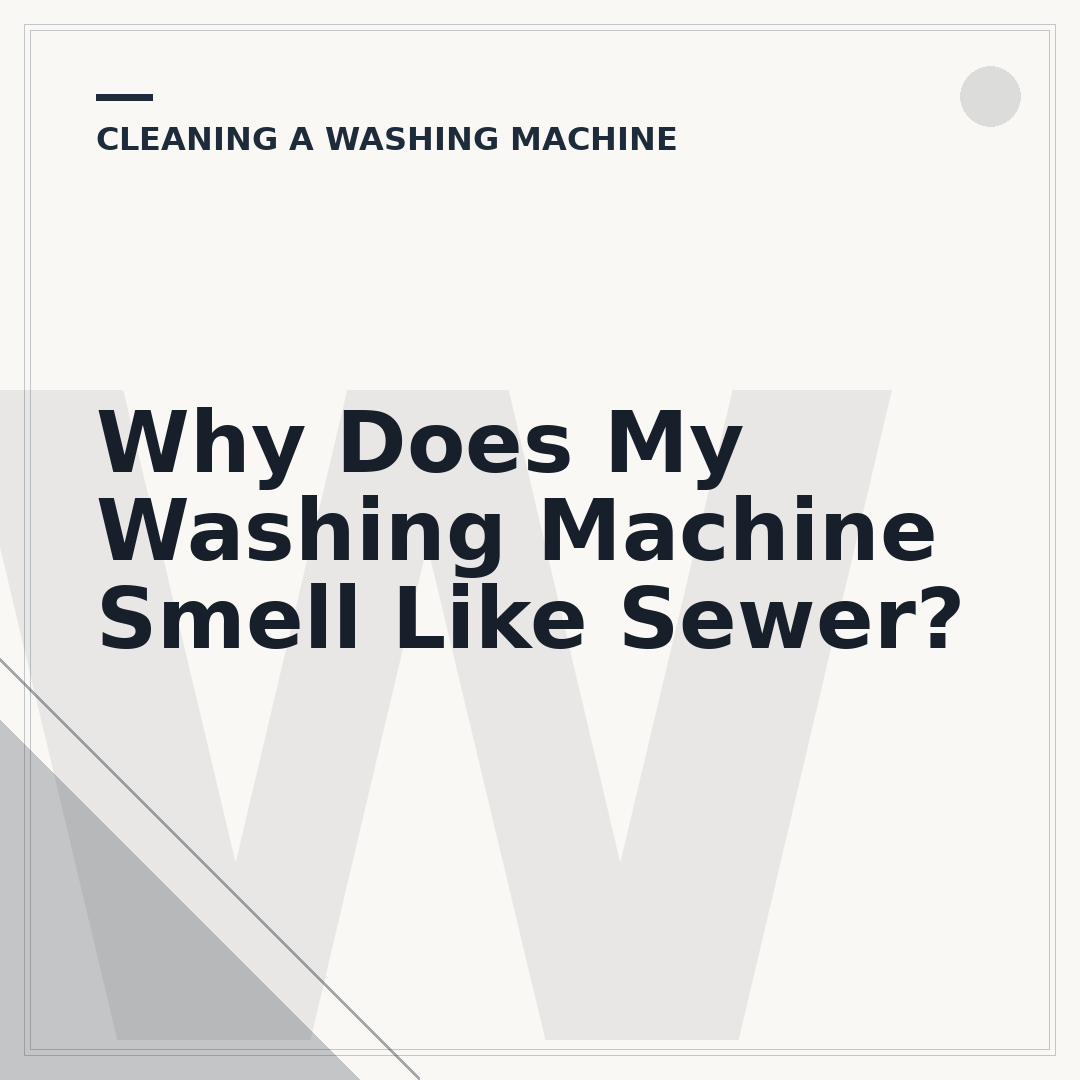 Why Does My Washing Machine Smell Like Sewer?