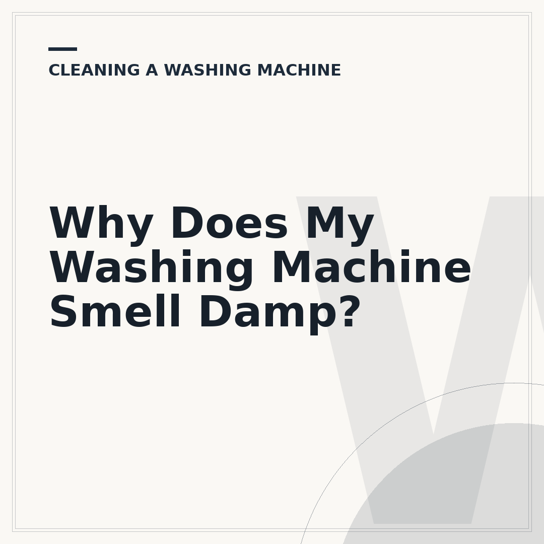 Why Does My Washing Machine Smell Damp?