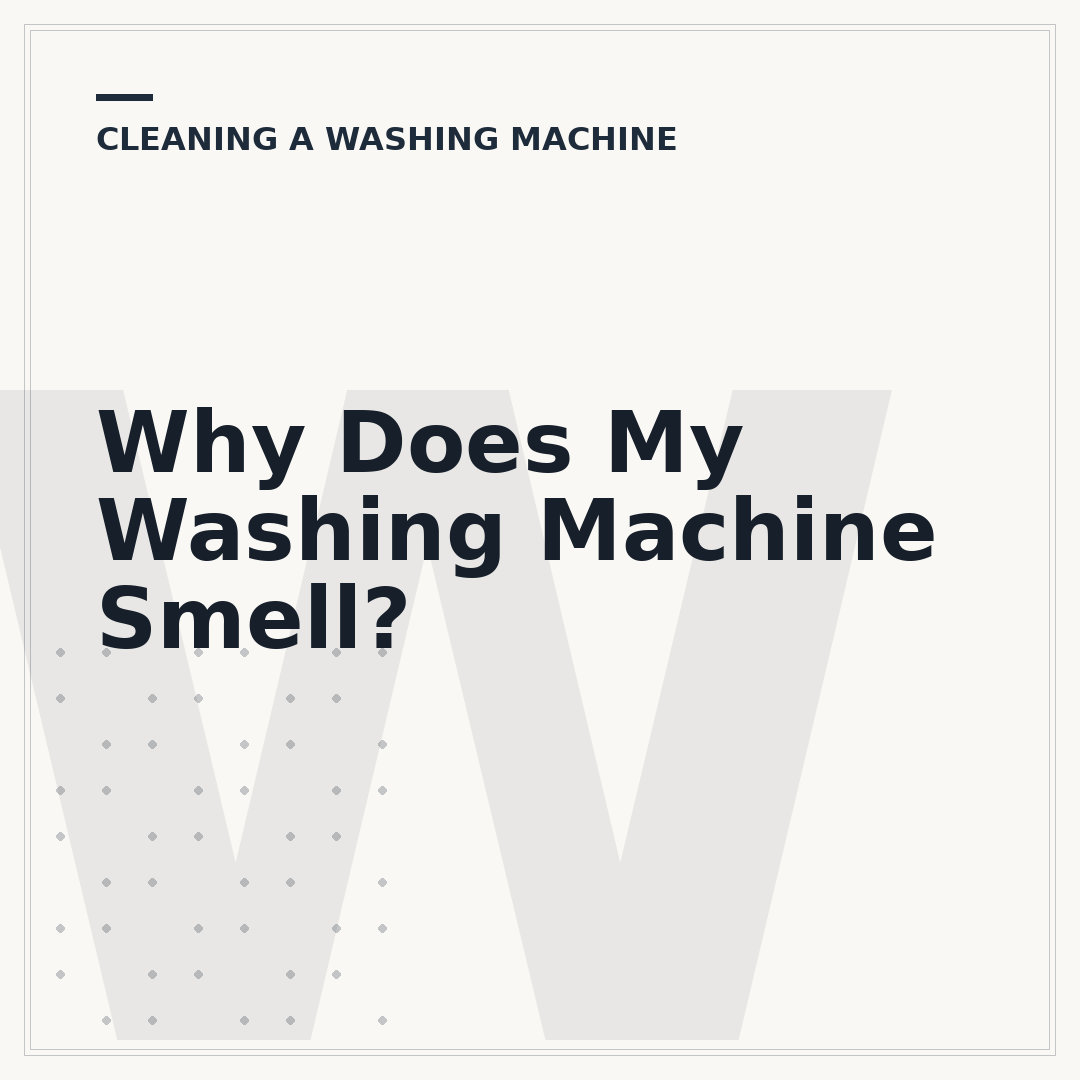 Why Does My Washing Machine Smell?