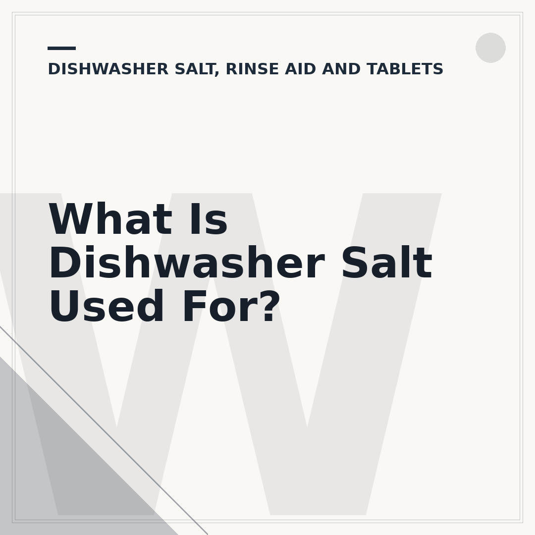 What Is Dishwasher Salt Used For?